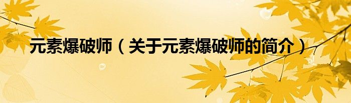 元素爆破師（關(guān)于元素爆破師的簡(jiǎn)介）