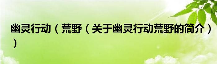 幽靈行動（荒野（關(guān)于幽靈行動荒野的簡介））