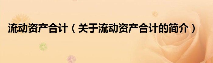 流動(dòng)資產(chǎn)合計(jì)（關(guān)于流動(dòng)資產(chǎn)合計(jì)的簡介）