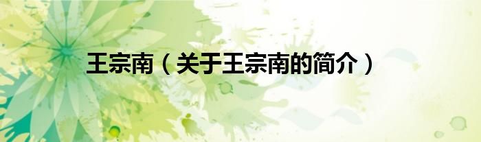 王宗南（關(guān)于王宗南的簡(jiǎn)介）