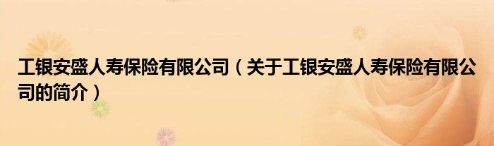 工銀安盛人壽保險有限公司（關于工銀安盛人壽保險有限公司的簡介）