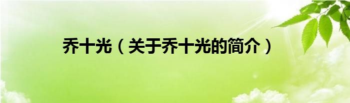 喬十光（關(guān)于喬十光的簡(jiǎn)介）