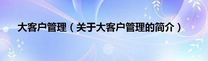 大客戶管理（關(guān)于大客戶管理的簡(jiǎn)介）