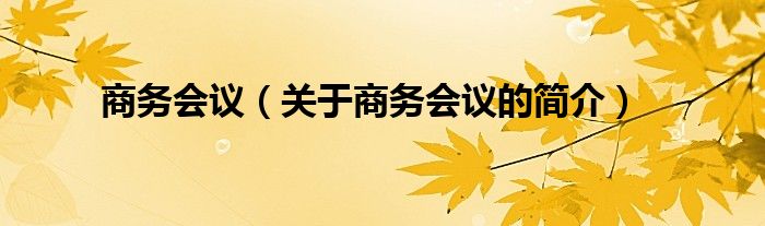 商務會議（關(guān)于商務會議的簡介）