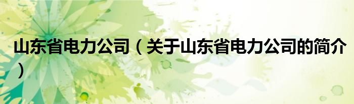 山東省電力公司（關(guān)于山東省電力公司的簡(jiǎn)介）