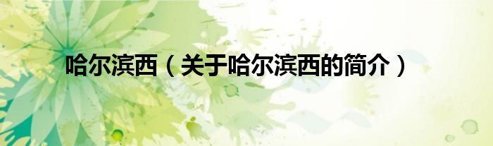 哈爾濱西（關(guān)于哈爾濱西的簡(jiǎn)介）