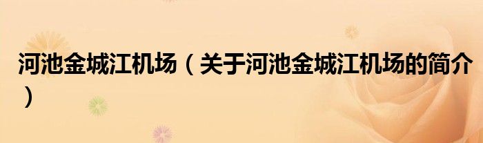 河池金城江機(jī)場（關(guān)于河池金城江機(jī)場的簡介）