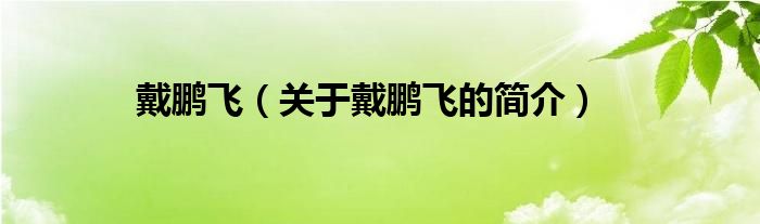 戴鵬飛（關(guān)于戴鵬飛的簡介）