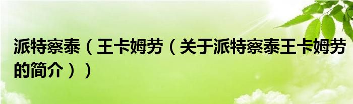 派特察泰（王卡姆勞（關(guān)于派特察泰王卡姆勞的簡(jiǎn)介））