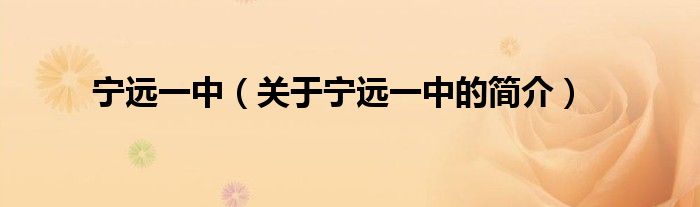 寧遠一中（關(guān)于寧遠一中的簡介）