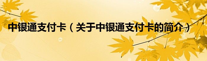 中銀通支付卡（關于中銀通支付卡的簡介）