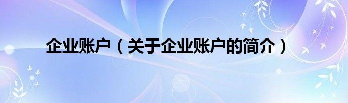 企業(yè)賬戶（關于企業(yè)賬戶的簡介）