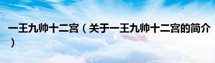 一王九帥十二宮（關(guān)于一王九帥十二宮的簡介）