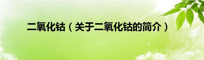 二氧化鈷（關(guān)于二氧化鈷的簡介）