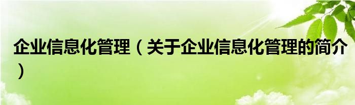 企業(yè)信息化管理（關(guān)于企業(yè)信息化管理的簡介）