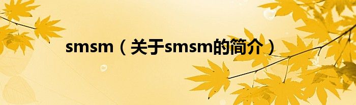 smsm（關(guān)于smsm的簡介）