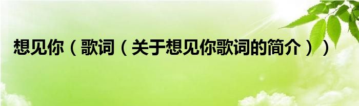 想見你（歌詞（關(guān)于想見你歌詞的簡介））