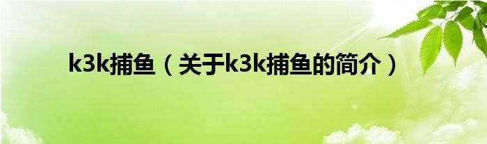 k3k捕魚（關(guān)于k3k捕魚的簡介）