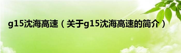 g15沈海高速（關于g15沈海高速的簡介）