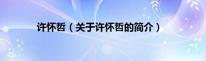 許懷哲（關(guān)于許懷哲的簡介）