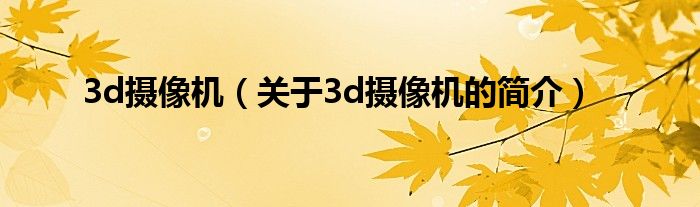 3d攝像機(jī)（關(guān)于3d攝像機(jī)的簡(jiǎn)介）