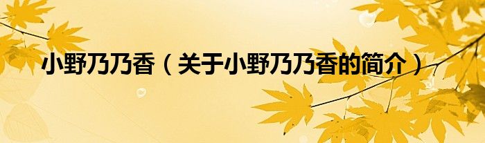 小野乃乃香（關(guān)于小野乃乃香的簡介）