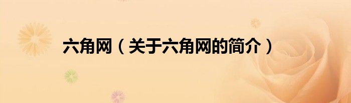 六角網(wǎng)（關(guān)于六角網(wǎng)的簡(jiǎn)介）