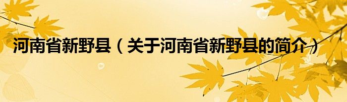 河南省新野縣（關于河南省新野縣的簡介）