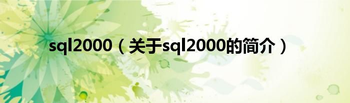 sql2000（關(guān)于sql2000的簡(jiǎn)介）