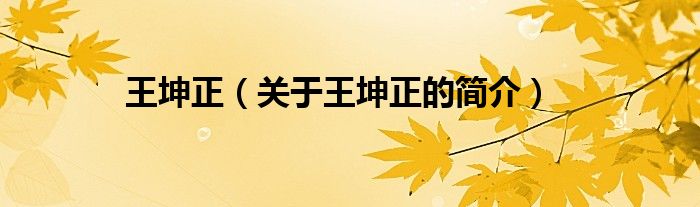 王坤正（關(guān)于王坤正的簡(jiǎn)介）