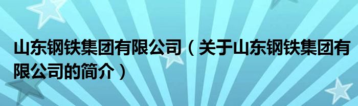 山東鋼鐵集團有限公司（關(guān)于山東鋼鐵集團有限公司的簡介）