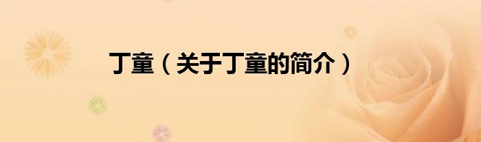 丁童（關(guān)于丁童的簡(jiǎn)介）