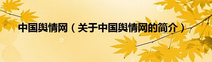 中國輿情網(wǎng)（關(guān)于中國輿情網(wǎng)的簡介）