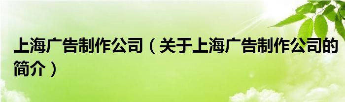 上海廣告制作公司（關于上海廣告制作公司的簡介）