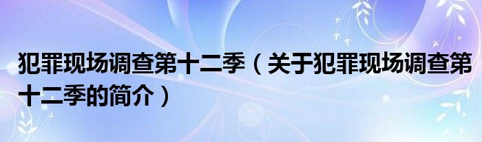 犯罪現(xiàn)場調(diào)查第十二季（關于犯罪現(xiàn)場調(diào)查第十二季的簡介）