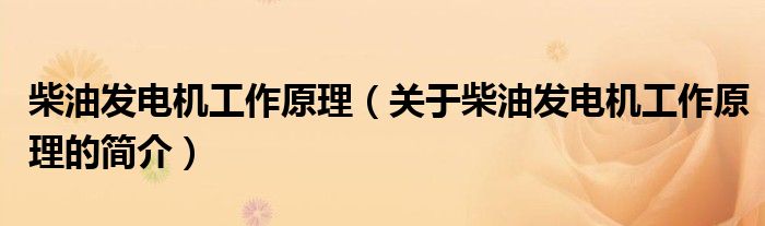 柴油發(fā)電機工作原理（關(guān)于柴油發(fā)電機工作原理的簡介）