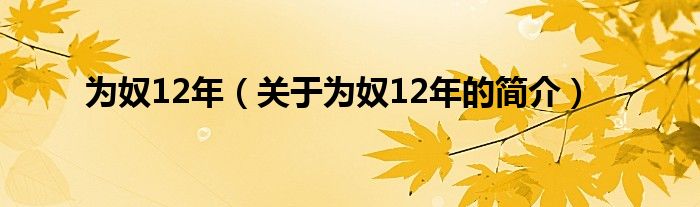 為奴12年（關于為奴12年的簡介）