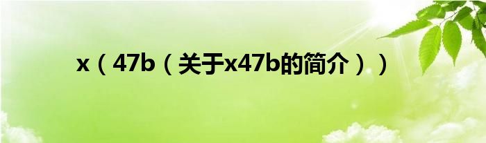 x（47b（關(guān)于x47b的簡介））