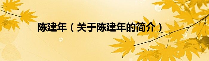 陳建年（關(guān)于陳建年的簡(jiǎn)介）