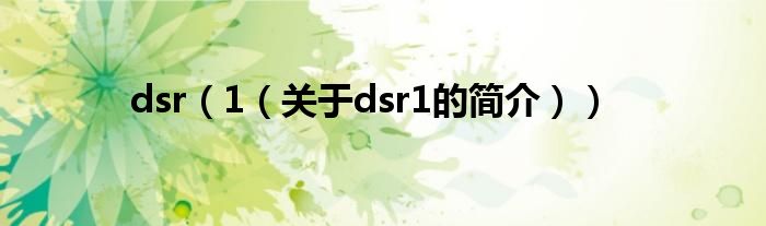 dsr（1（關于dsr1的簡介））