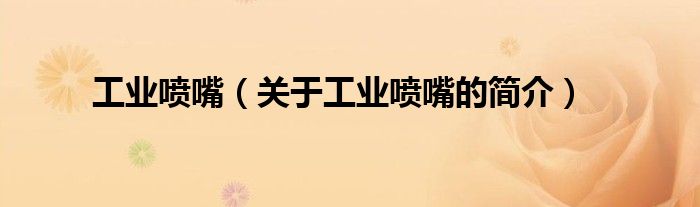 工業(yè)噴嘴（關(guān)于工業(yè)噴嘴的簡介）