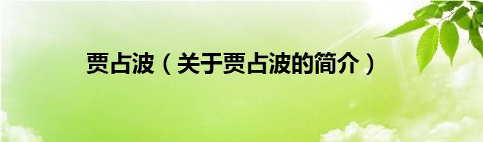 賈占波（關(guān)于賈占波的簡(jiǎn)介）