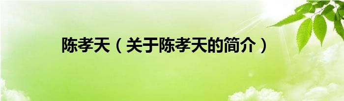 陳孝天（關(guān)于陳孝天的簡介）