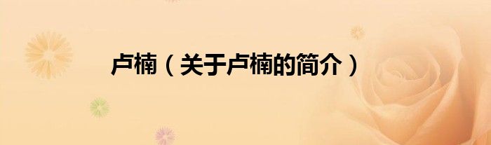 盧楠（關(guān)于盧楠的簡(jiǎn)介）