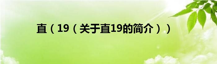 直（19（關(guān)于直19的簡介））