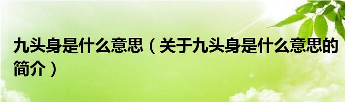 九頭身是什么意思（關(guān)于九頭身是什么意思的簡介）