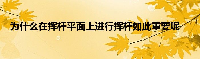 為什么在揮桿平面上進行揮桿如此重要呢