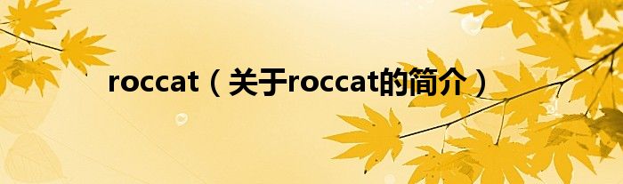 roccat（關于roccat的簡介）