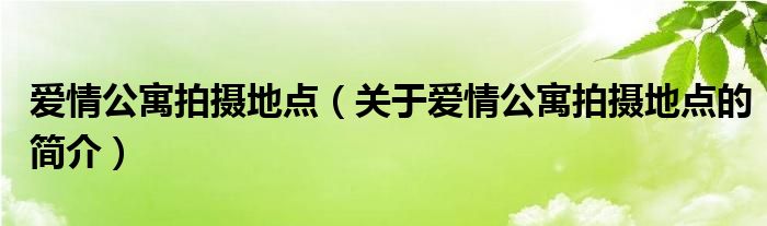 愛情公寓拍攝地點(diǎn)（關(guān)于愛情公寓拍攝地點(diǎn)的簡介）