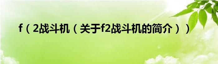 f（2戰(zhàn)斗機(jī)（關(guān)于f2戰(zhàn)斗機(jī)的簡(jiǎn)介））